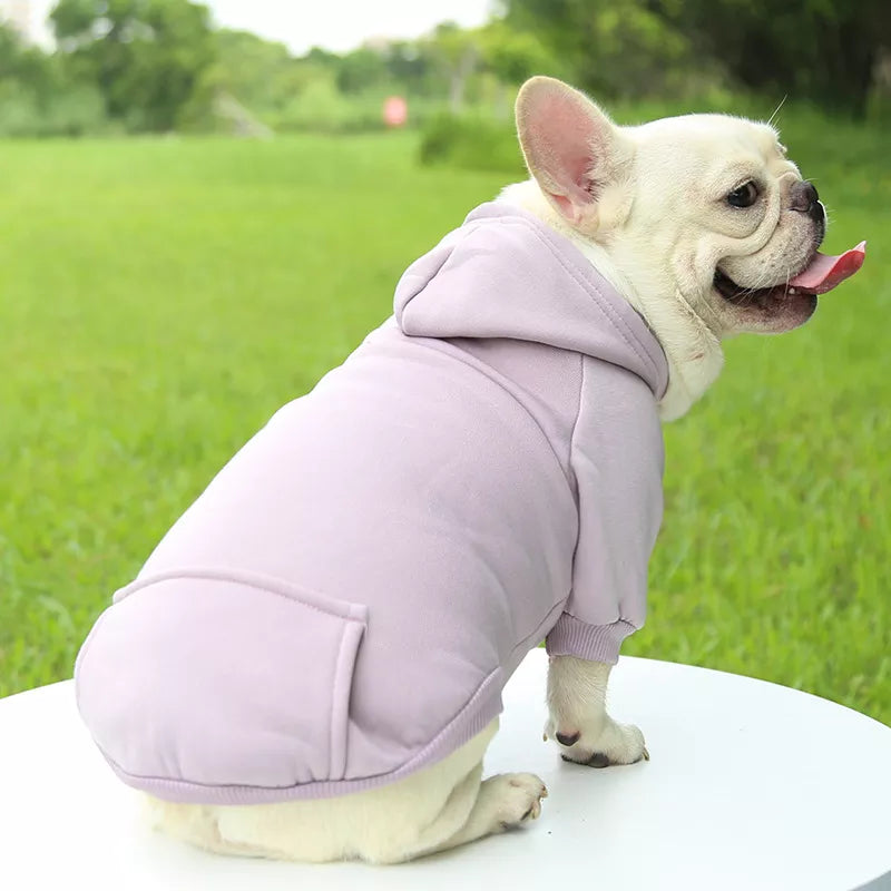 French Bulldog Chill Hoodie